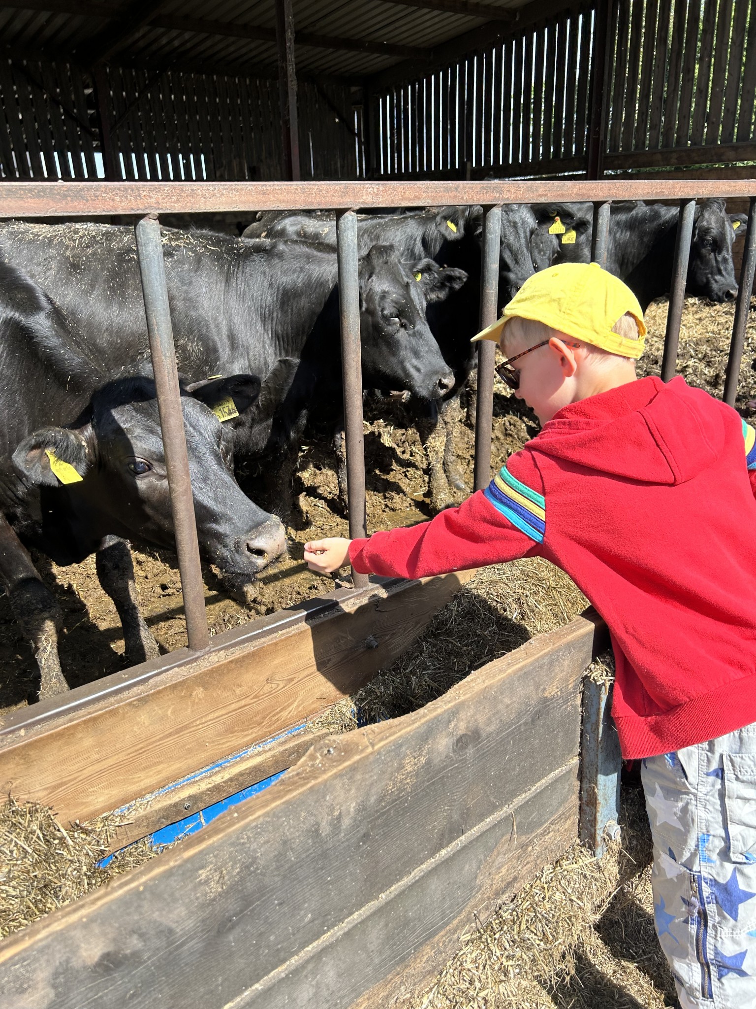 Our trip to Castlewood farm 20/5/25 - part 3