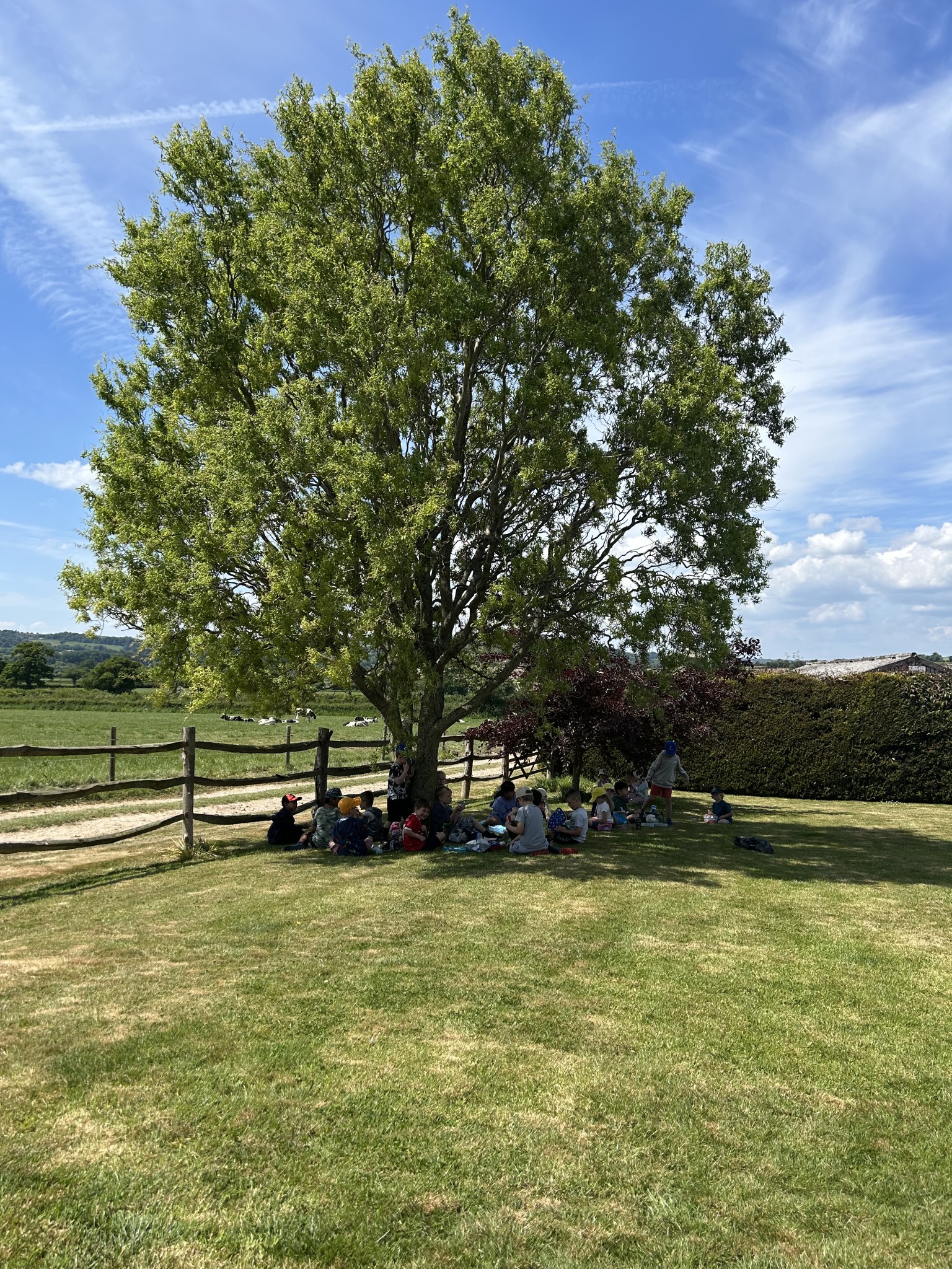 Our trip to Castlewood farm 20/5/2025 - part 8