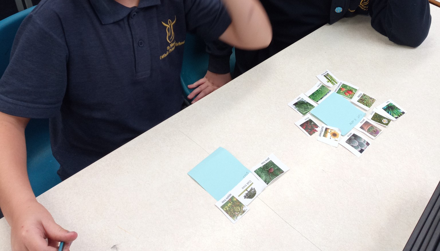 sorting