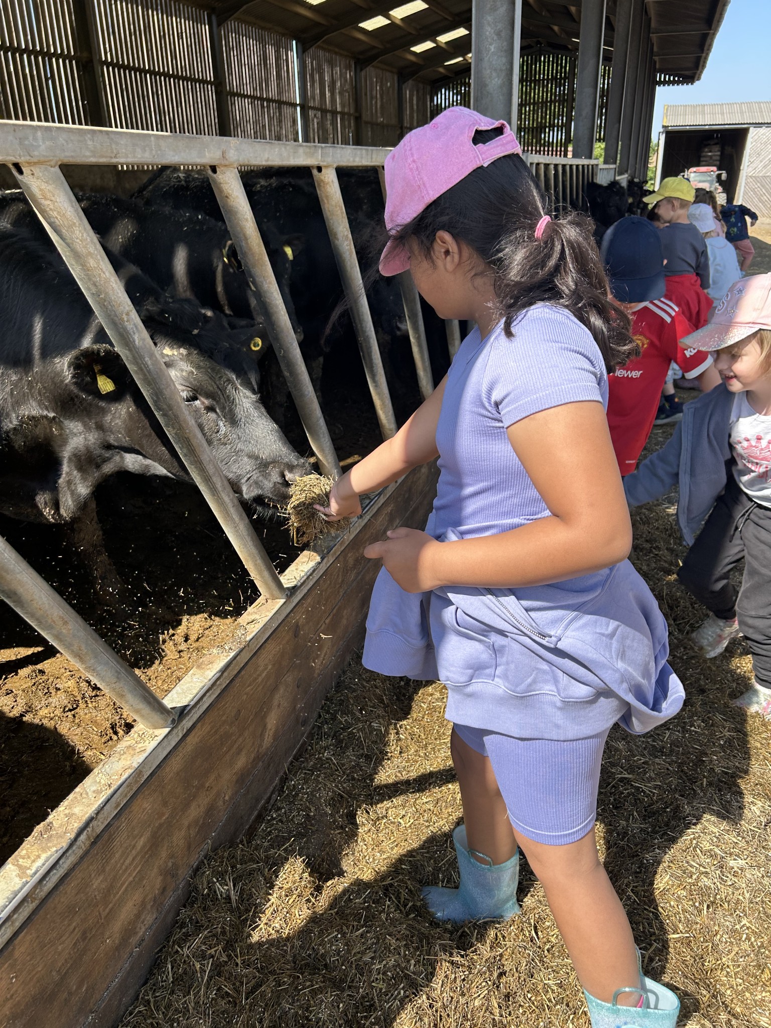 Our trip to Castlewood farm 20/5/25 - part 3