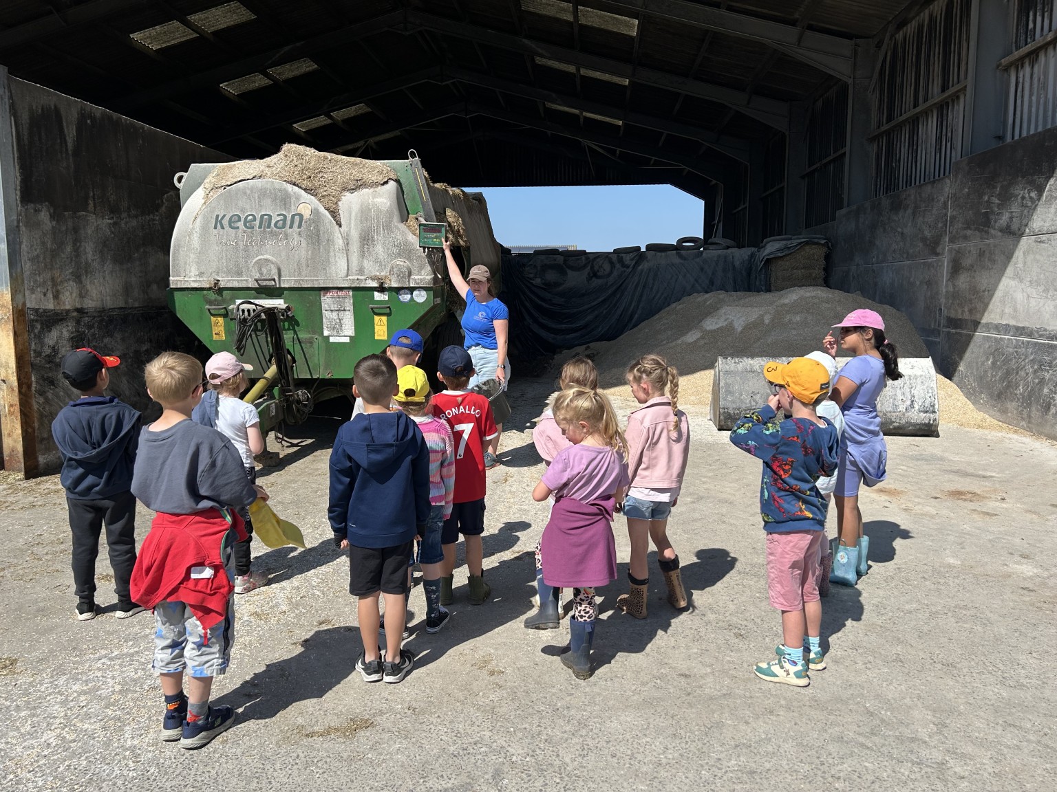 Our trip to Castlewood Farm 20/5/2025 - part 4