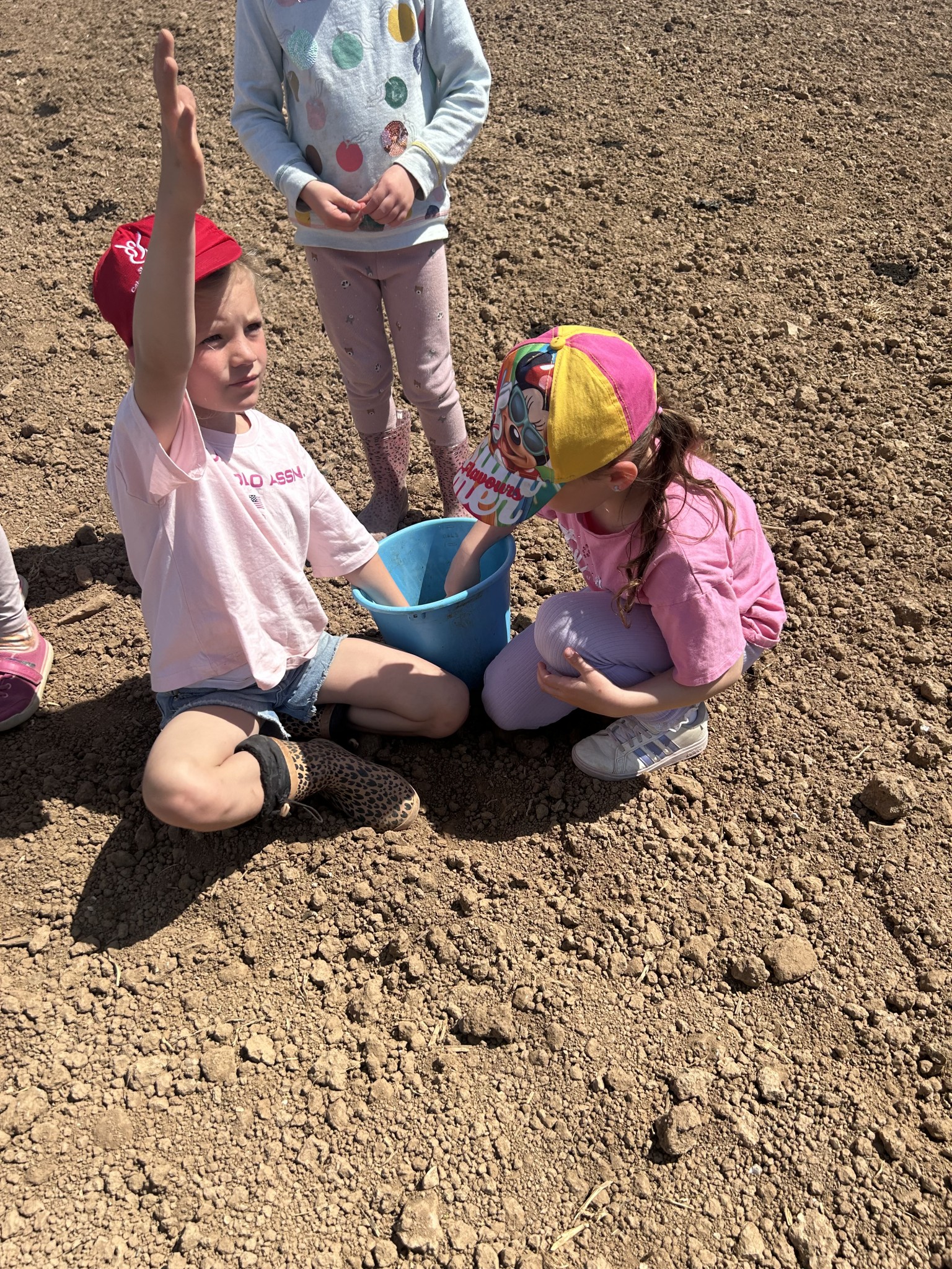 Our trip to Castlewood farm 20/5/2025 - part 9
