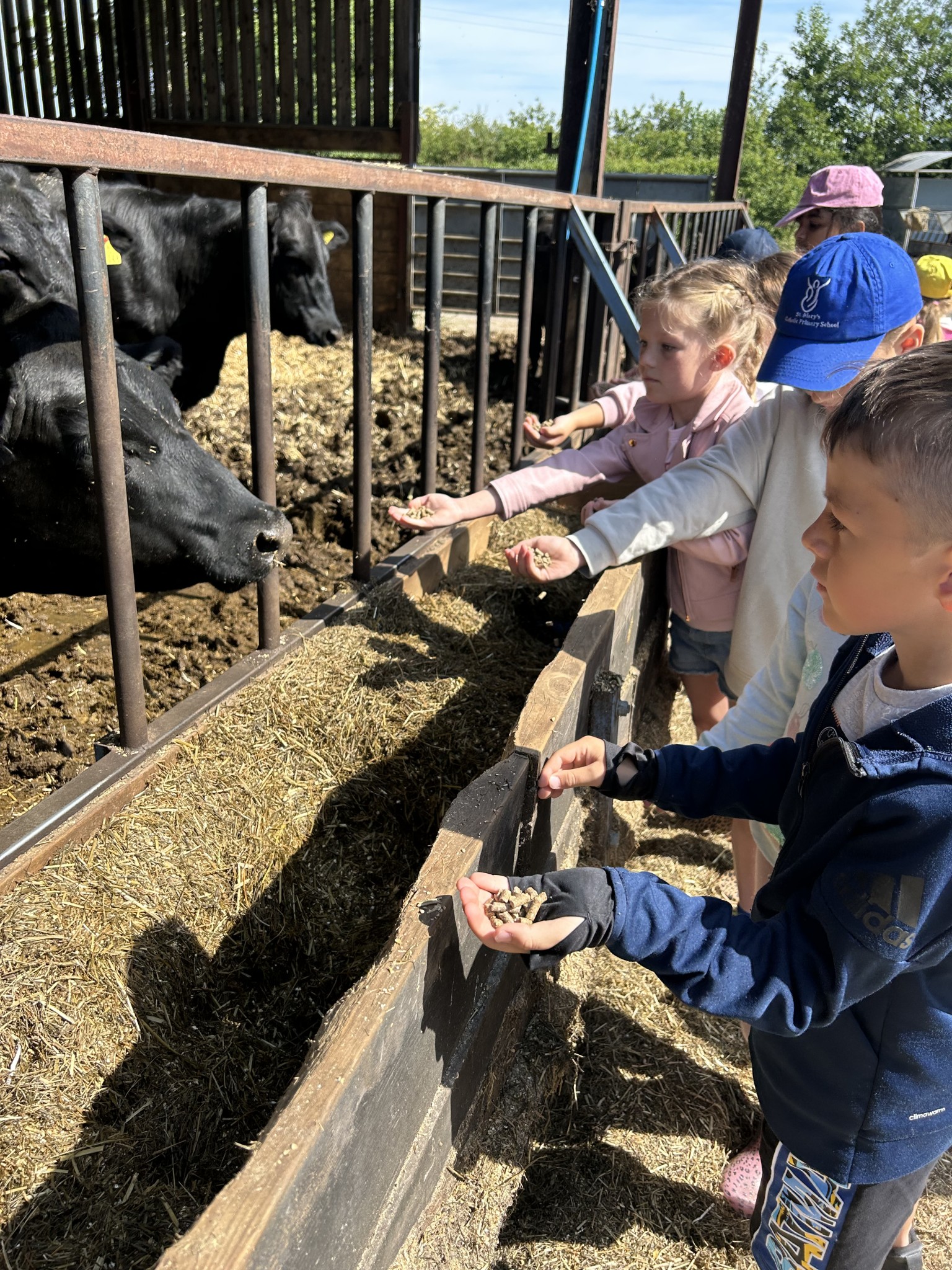 Our trip to Castlewood farm 20/5/25 - part 3
