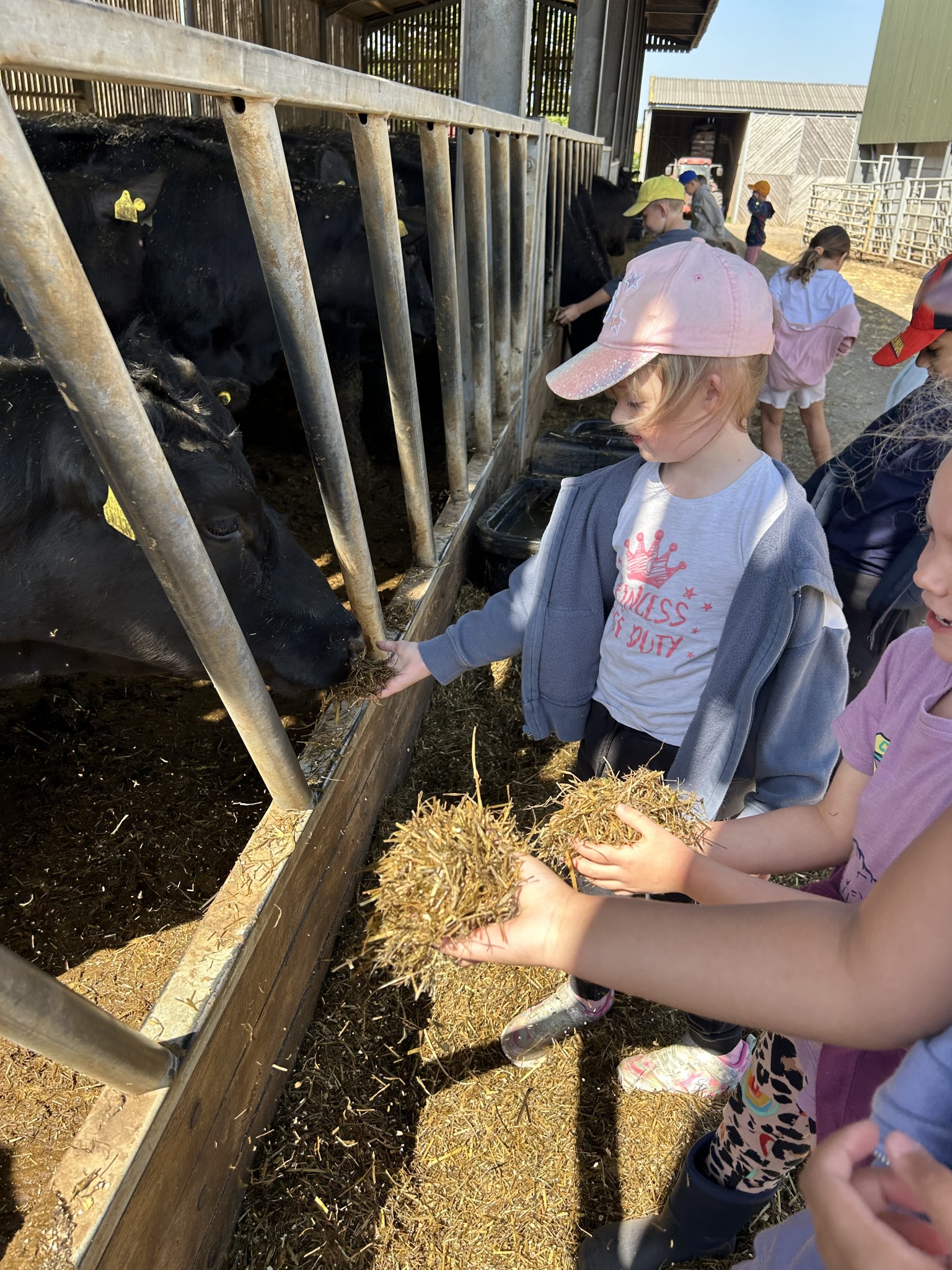 Our trip to Castlewood farm 20/5/25 - part 3