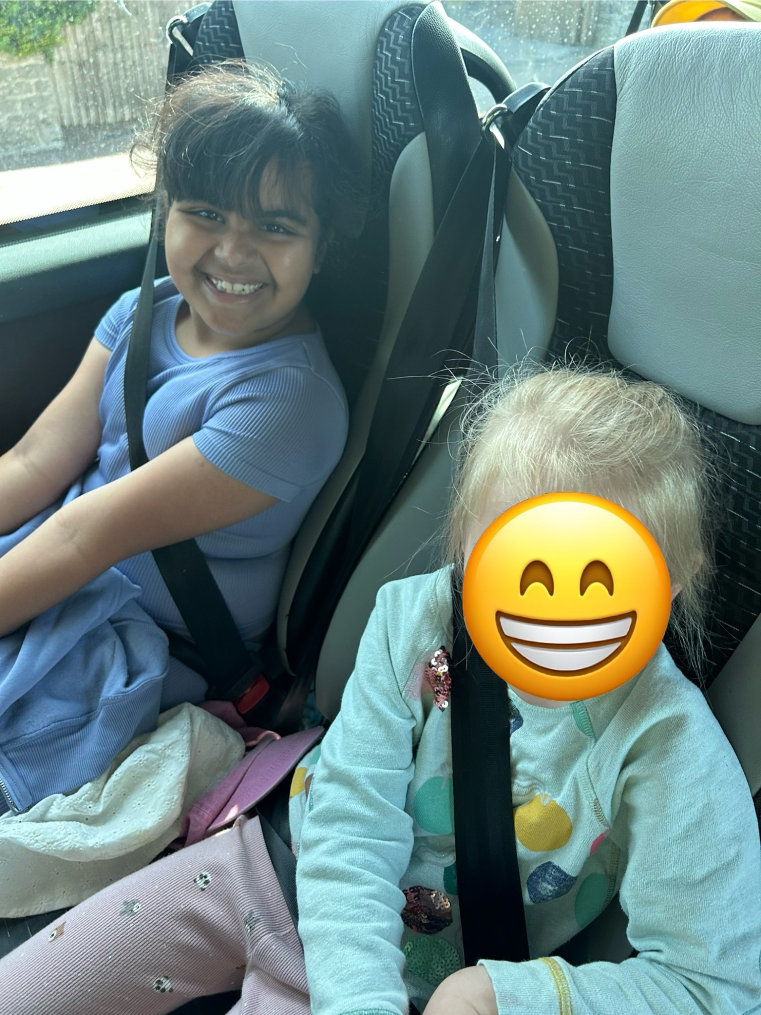 Our trip to Castlewood farm 20/5/25 - part 2