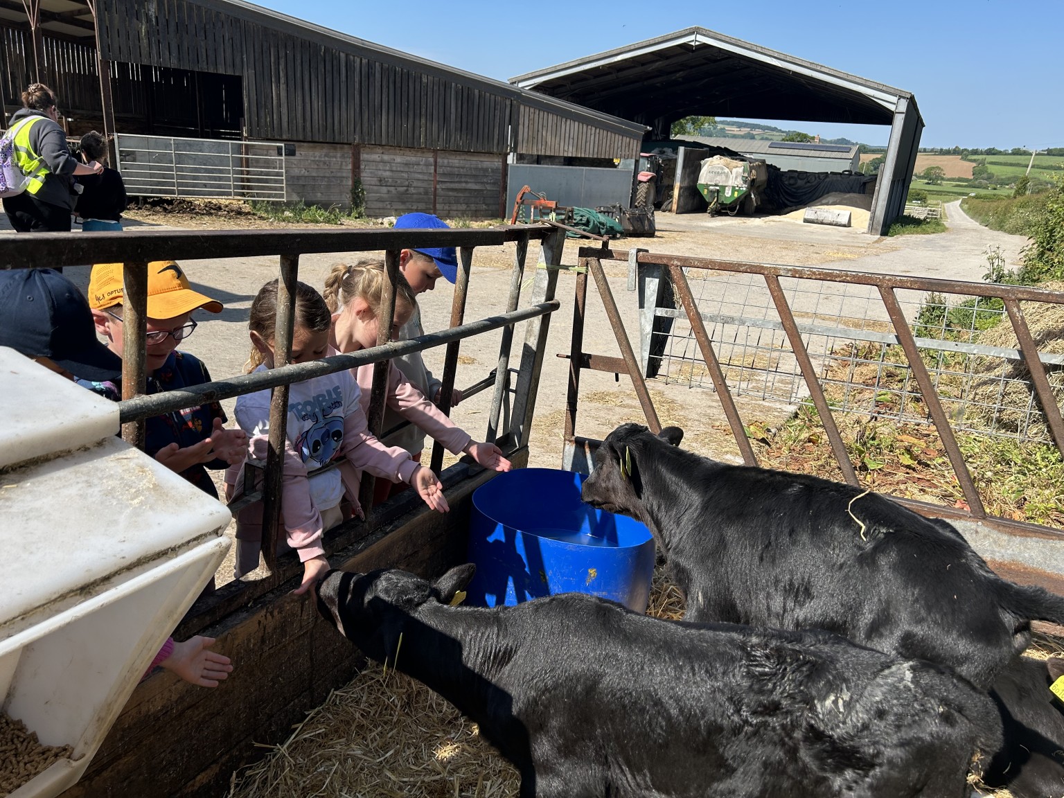 Our trip to Castlewood farm 20/5/25 - part 3