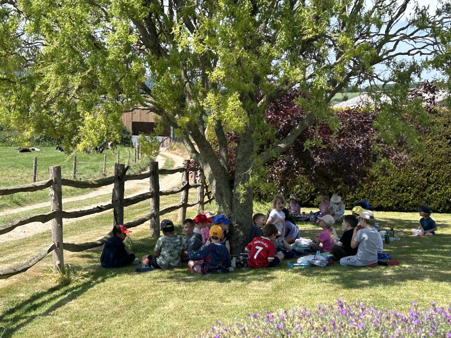 Our trip to Castlewood farm 20/5/2025 - part 8
