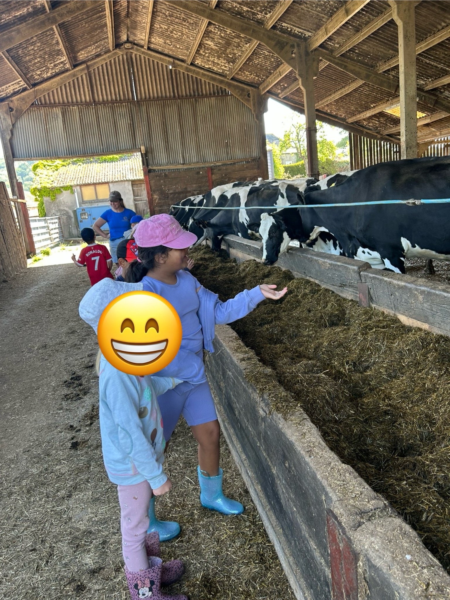 Our trip to Castlewood farm 20/5/25 - part 2