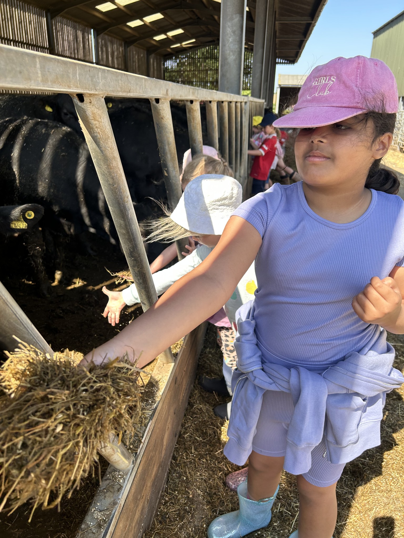 Our trip to Castlewood Farm 20/5/2025 - part 4