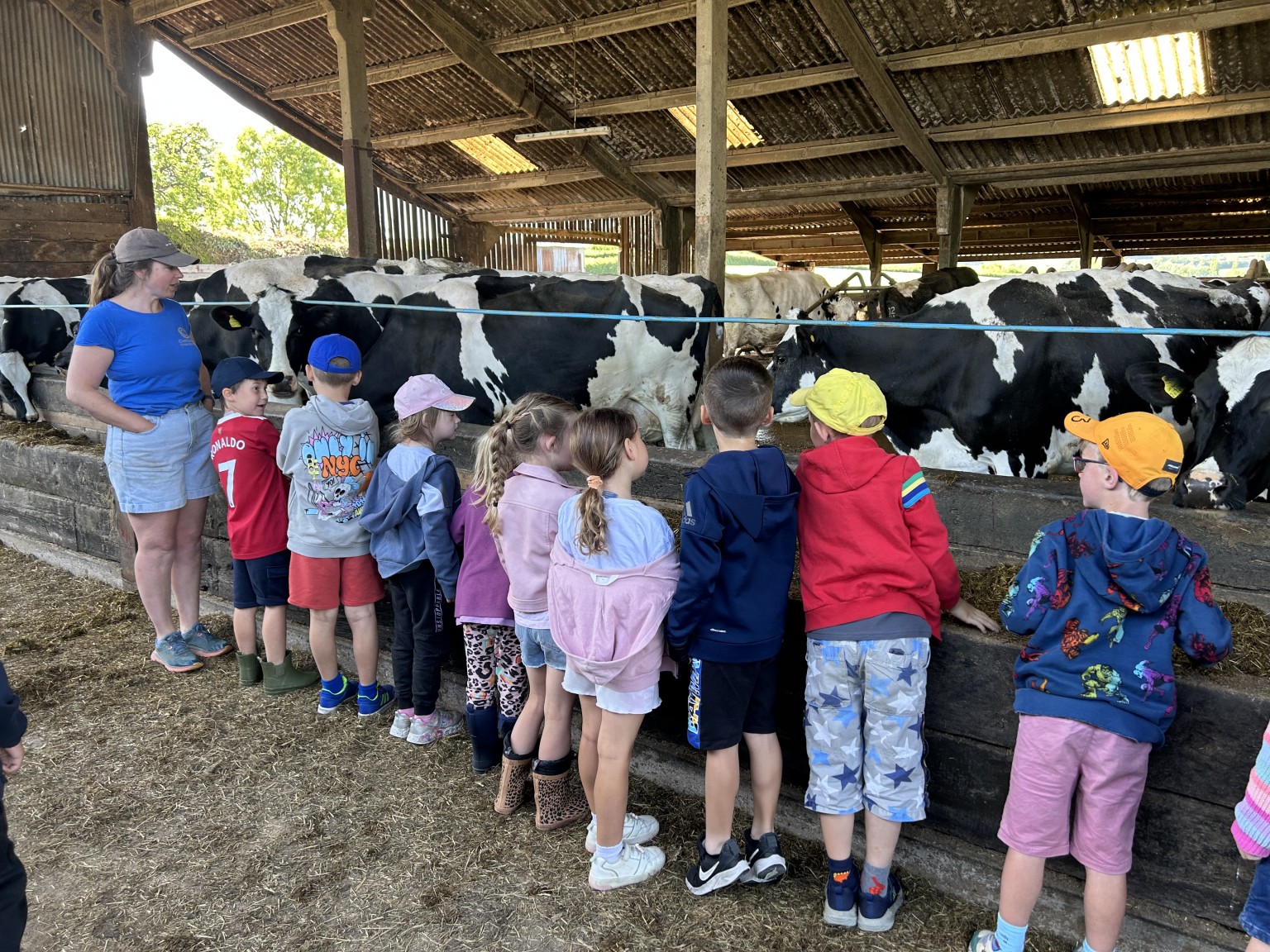 Our trip to Castlewood farm 20/5/25 - part 2