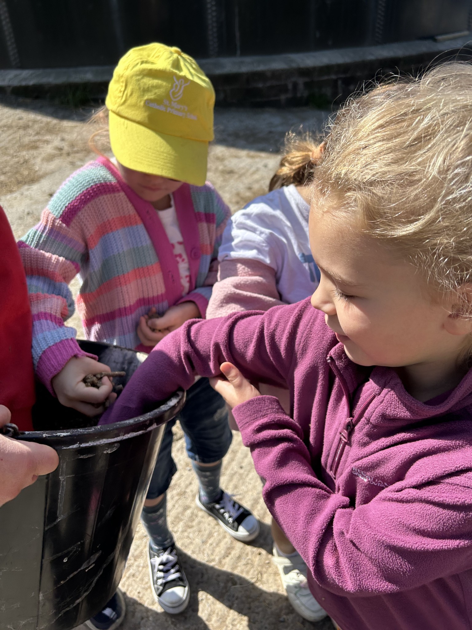 Our trip to Castlewood farm 20/5/25 - part 3