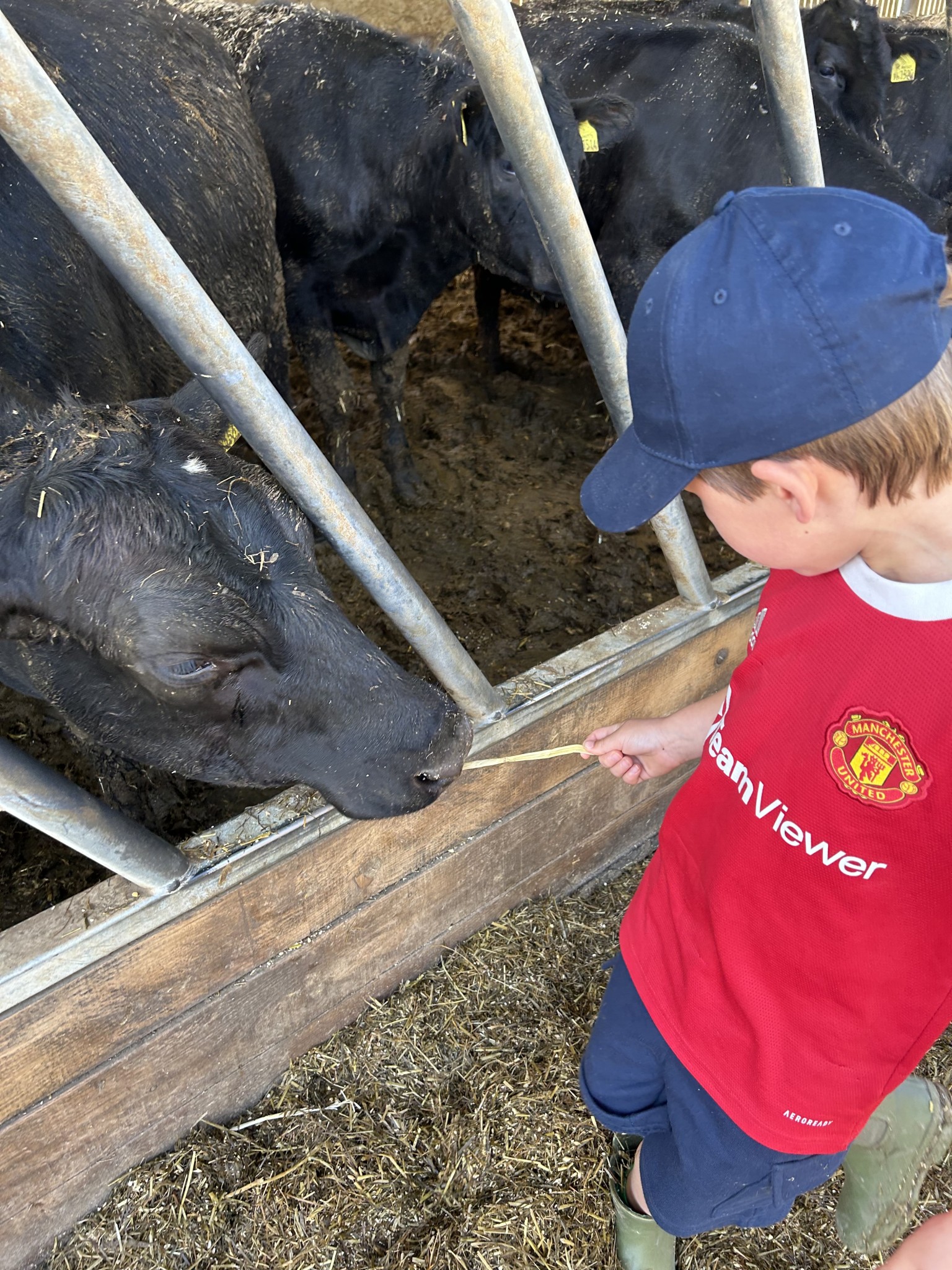 Our trip to Castlewood farm 20/5/25 - part 3