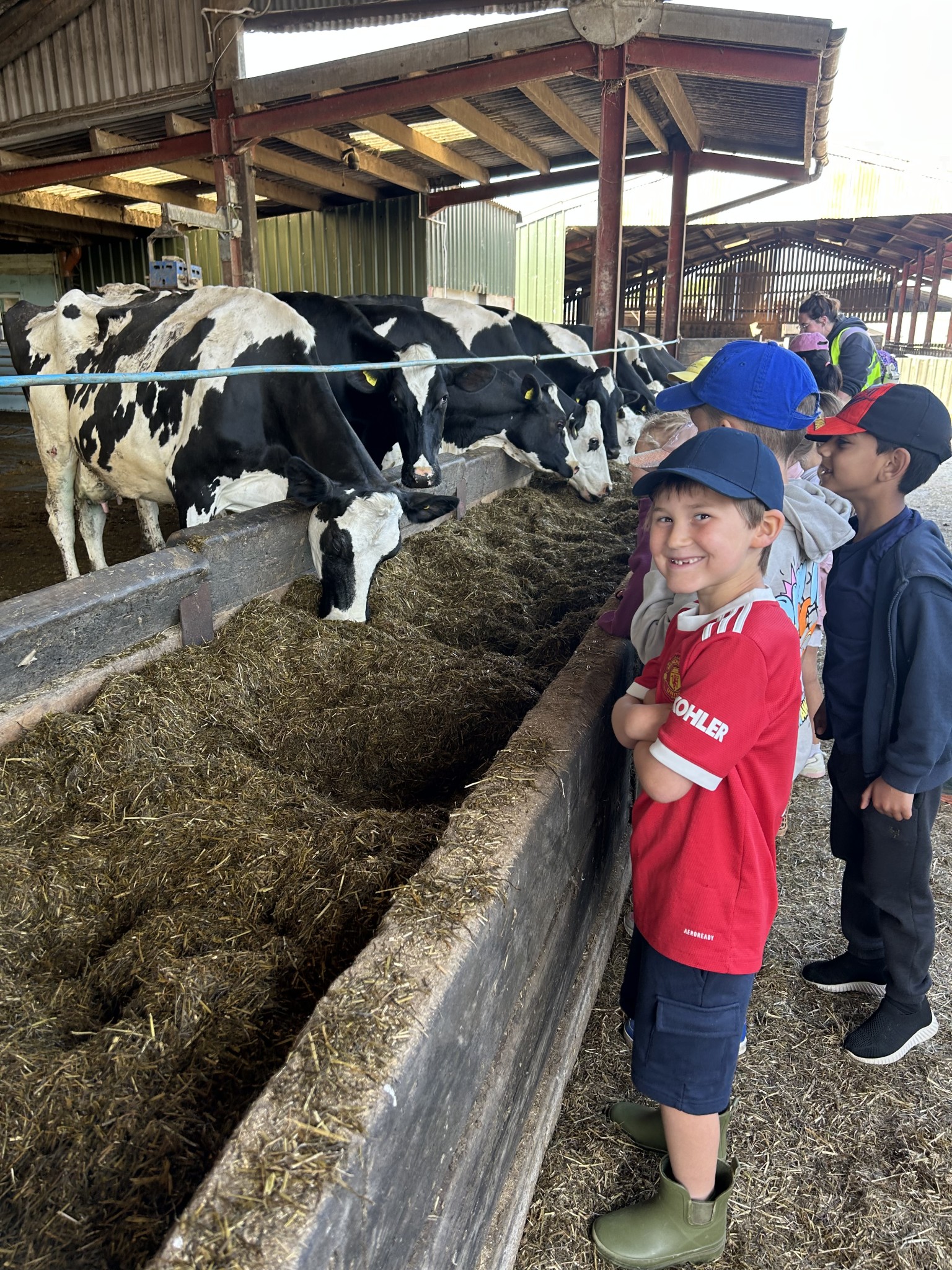 Our trip to Castlewood farm 20/5/25 - part 2