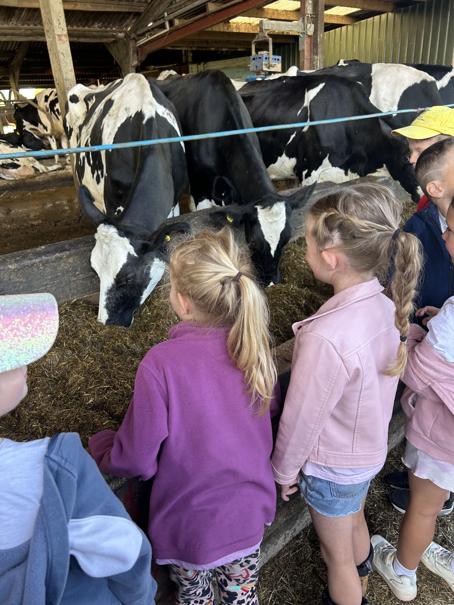 Our trip to Castlewood farm 20/5/25 - part 2