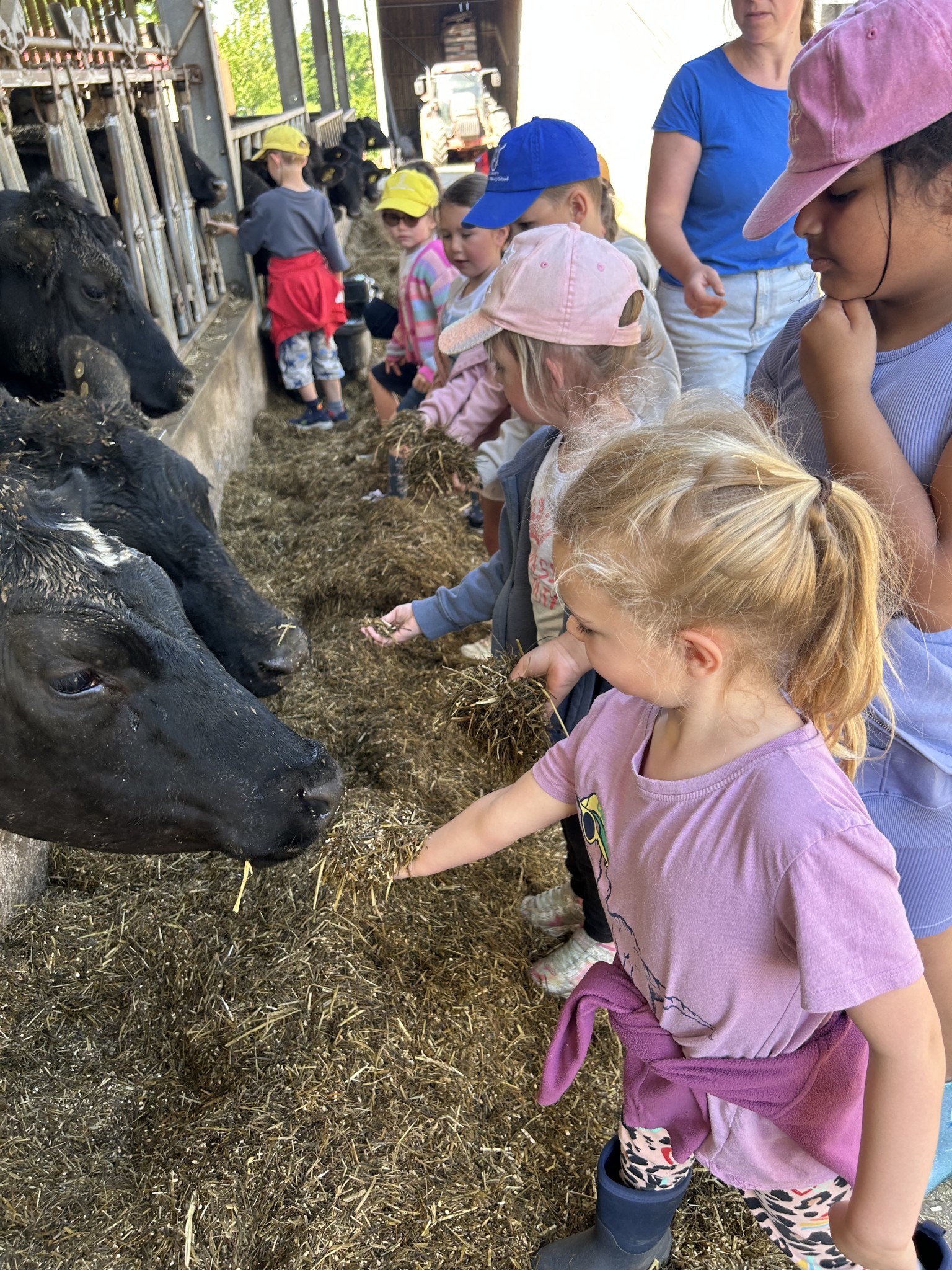 Our trip to Castlewood Farm 20/5/2025 - part 4