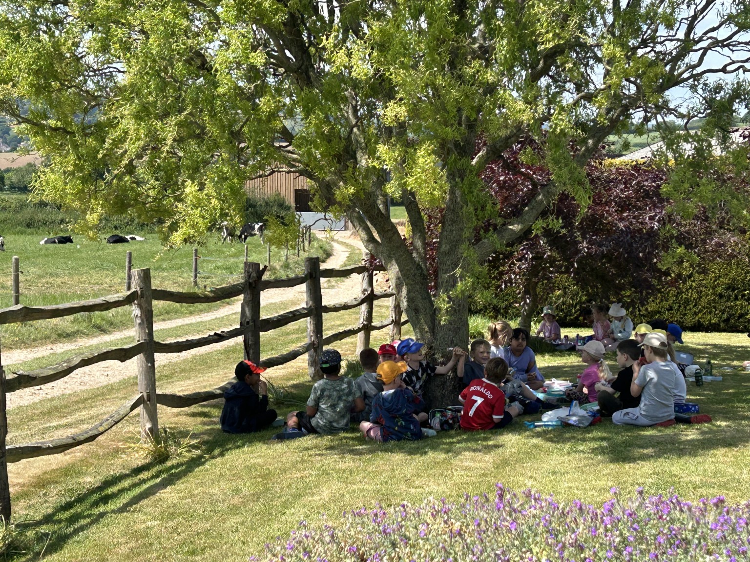 Our trip to Castlewood farm 20/5/2025 - part 8