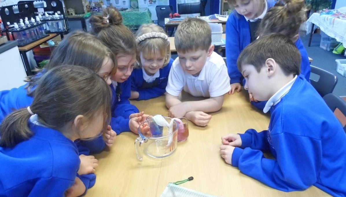 Roadford Science Plants 'Transpiration'
