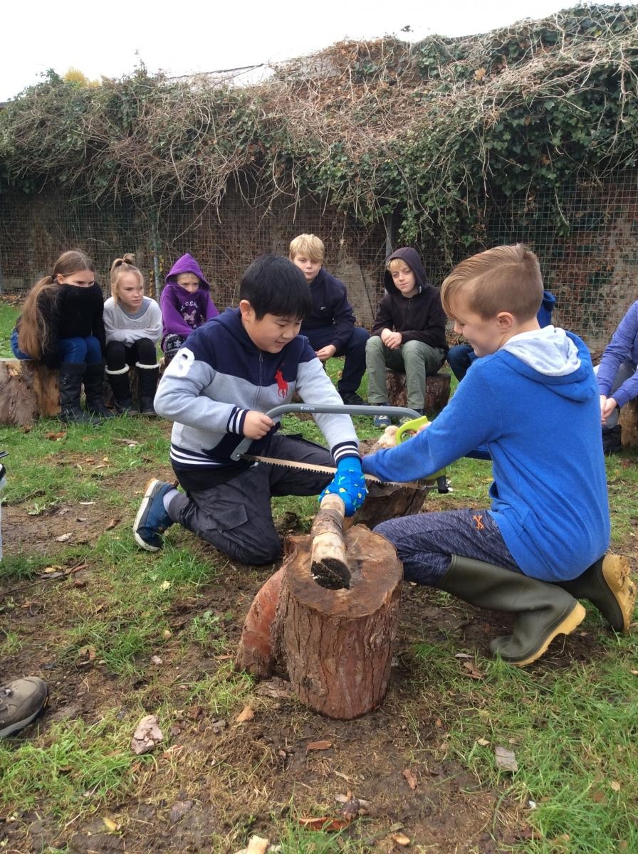 Learning to use a bow saw