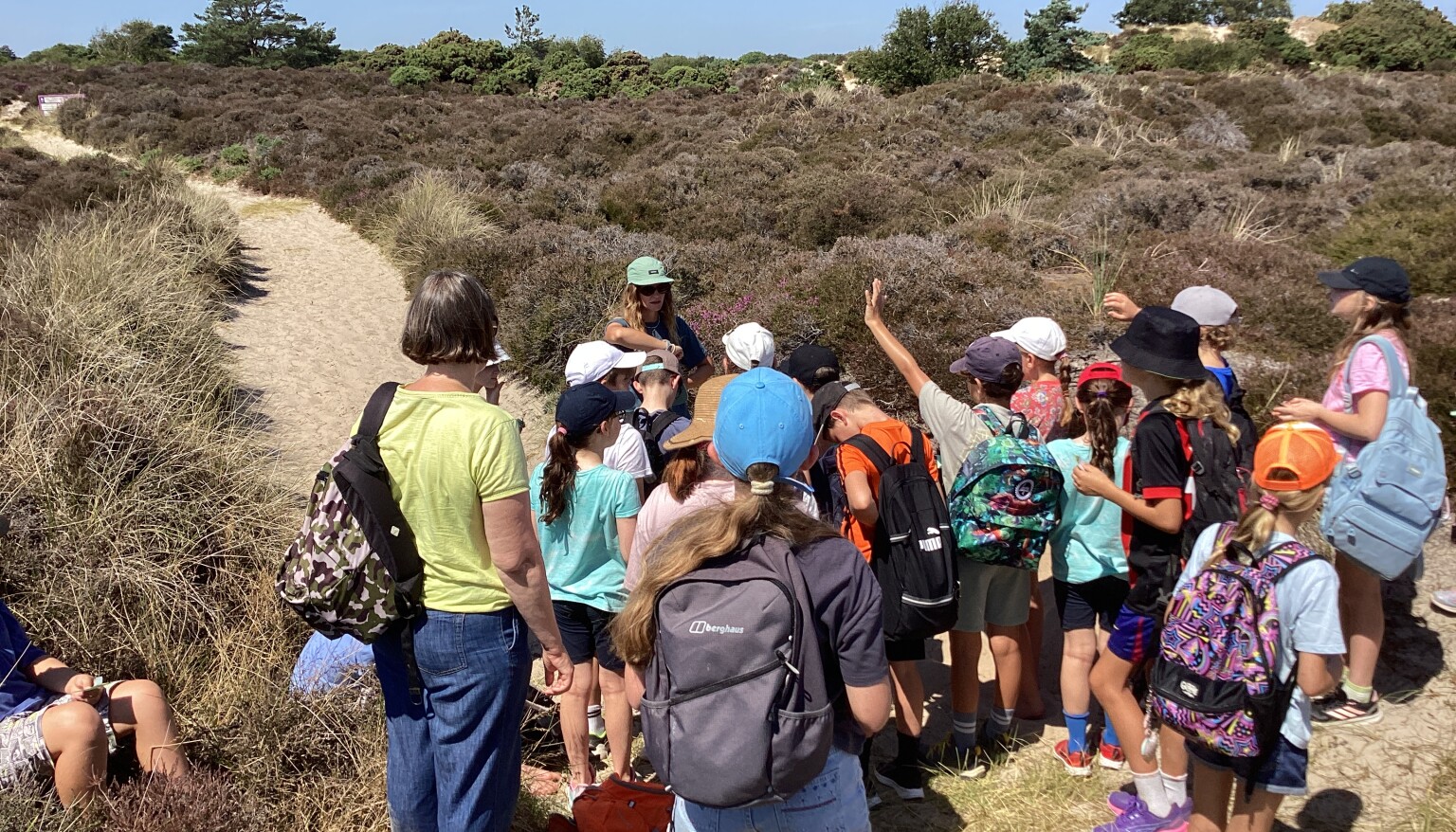 Day 2 Studland