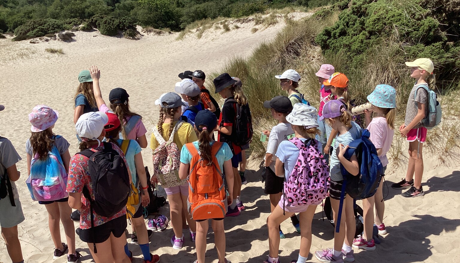 Day 2 Studland