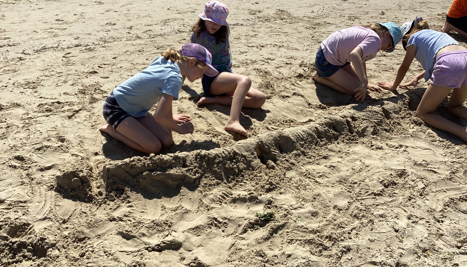 Day 2 Studland