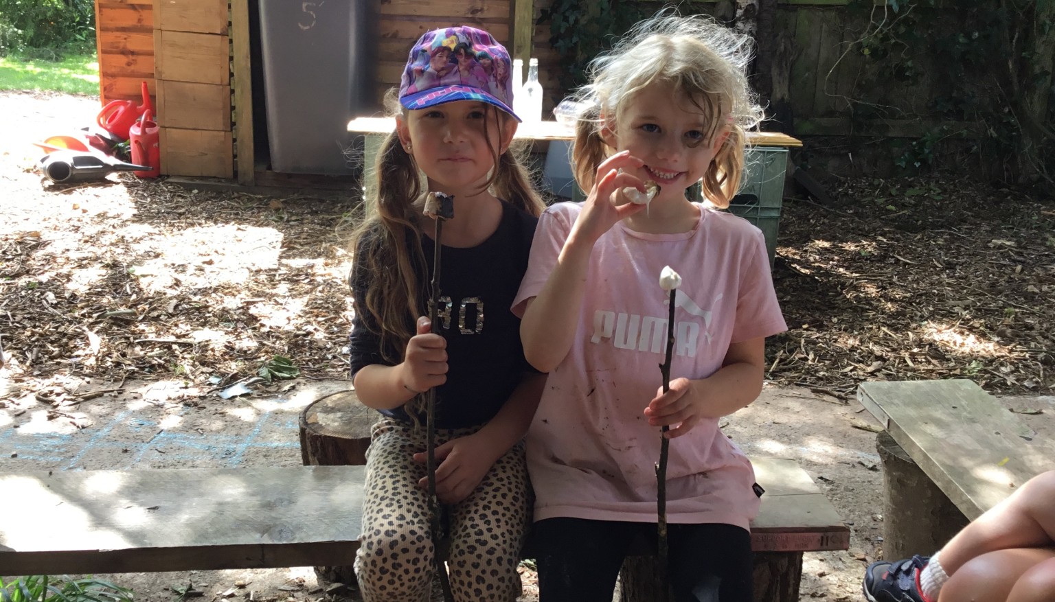 Picnic