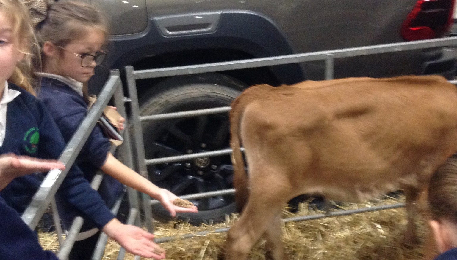 Farmwise