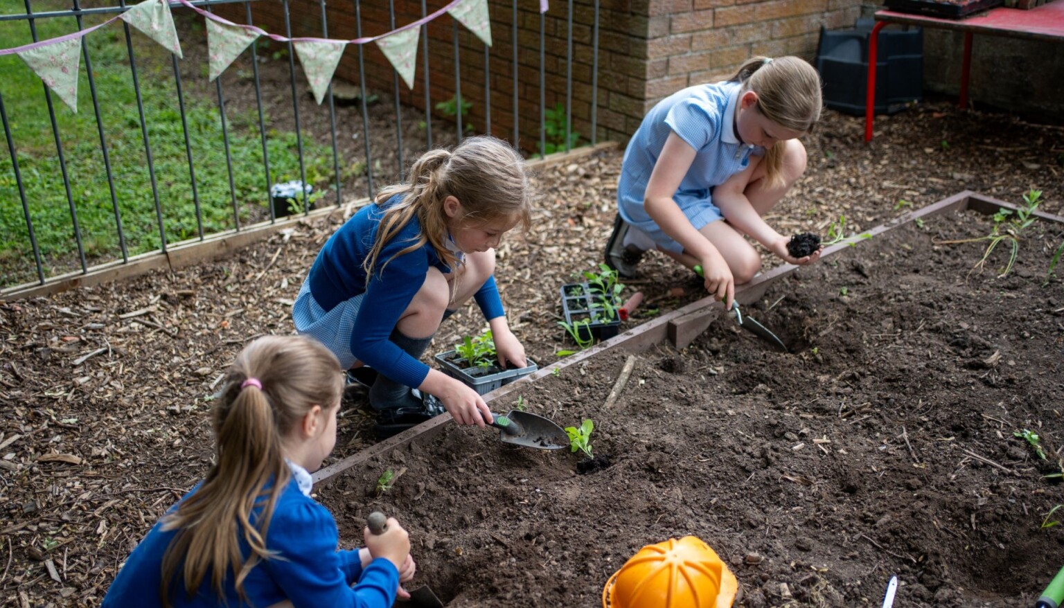 gardening 2