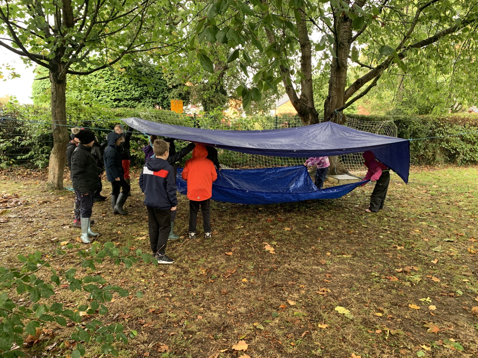 Den Building