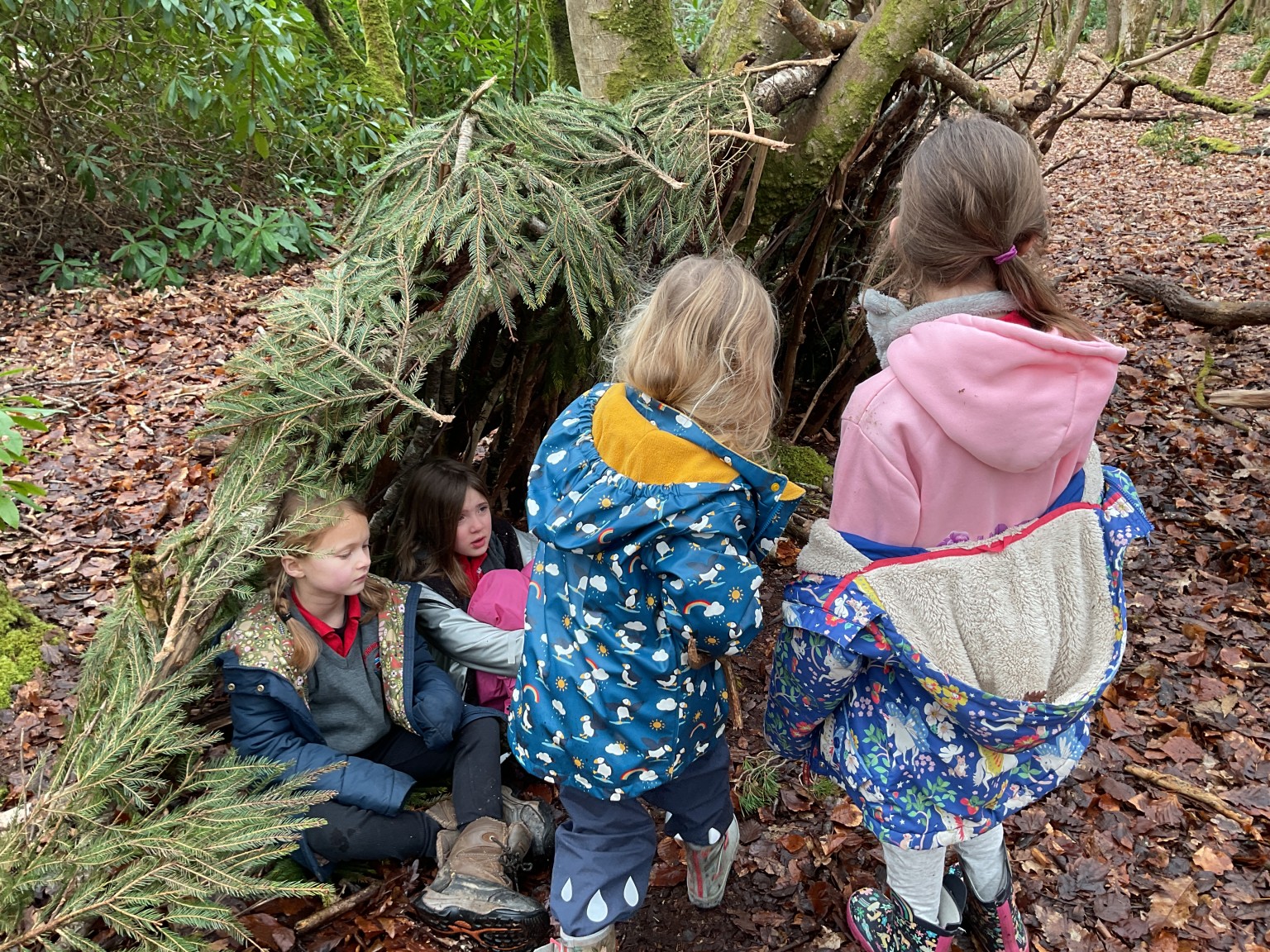 Shelter building