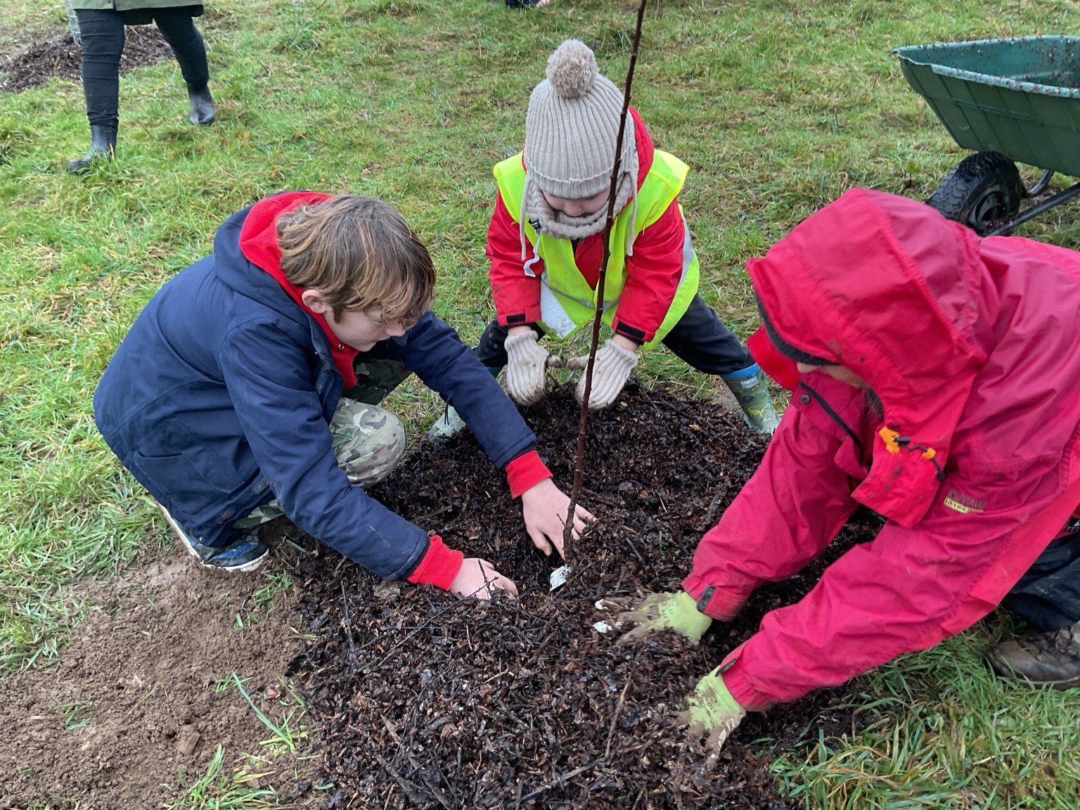 Community Orchard Tree Planting