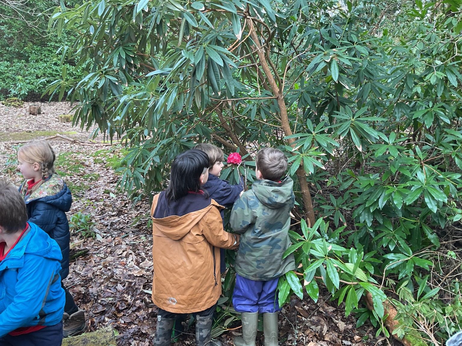 One of Darwin's original specimens!  