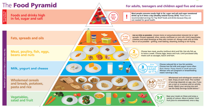 Food Pyramid