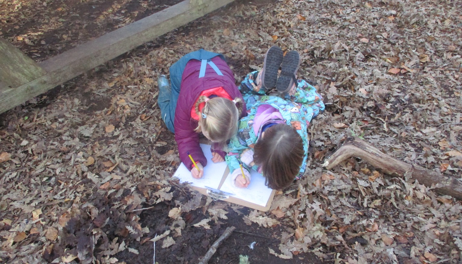 Woodland Poetry