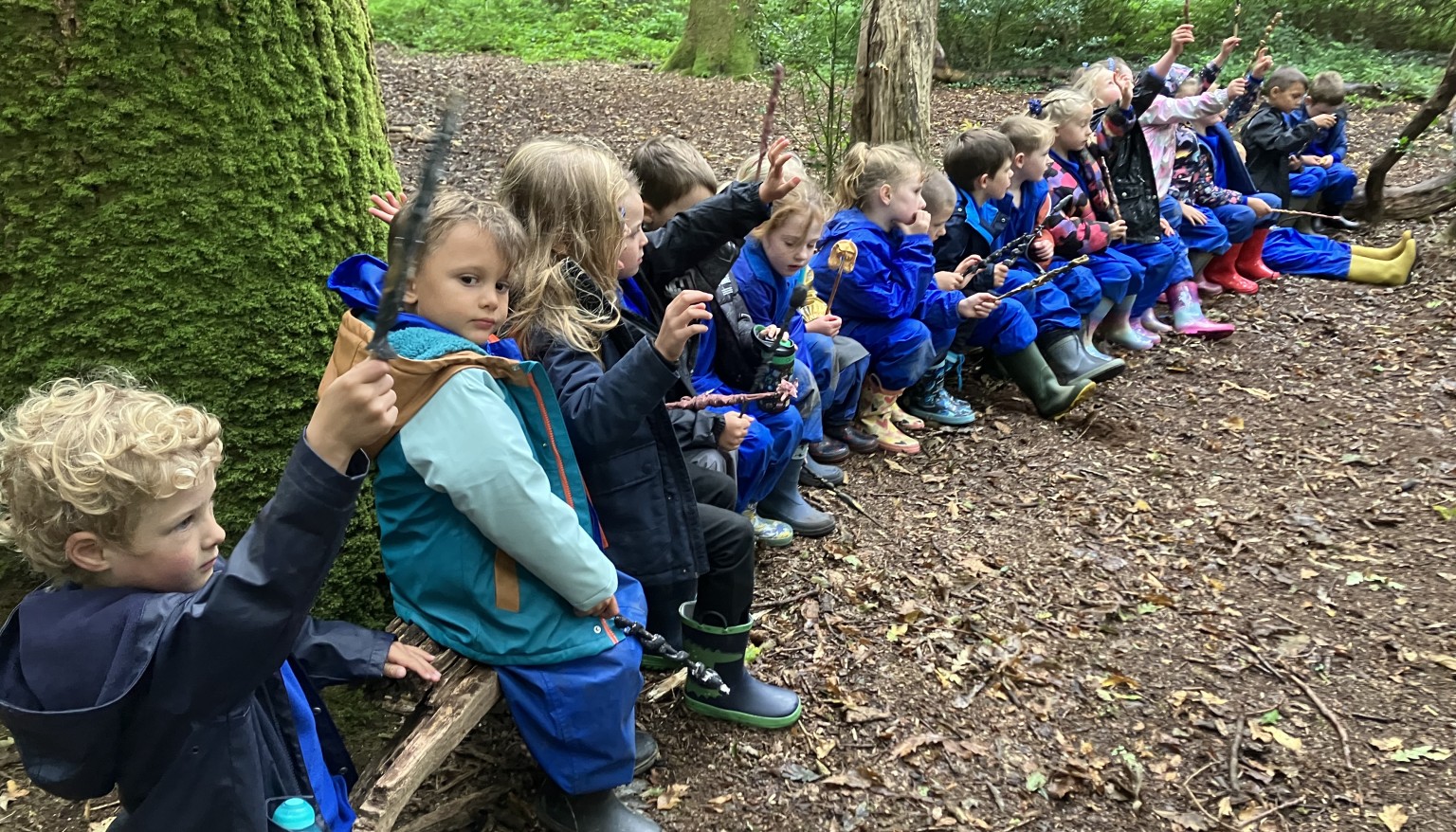 Carpet time in the woods!