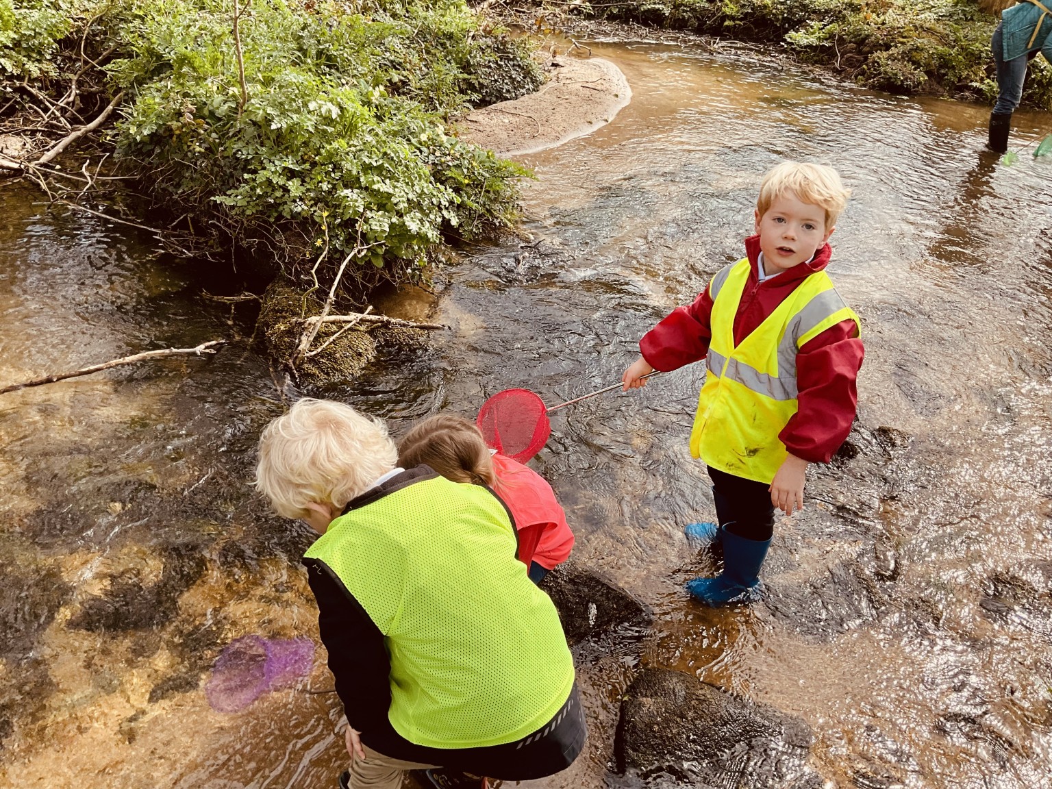 pond dipping