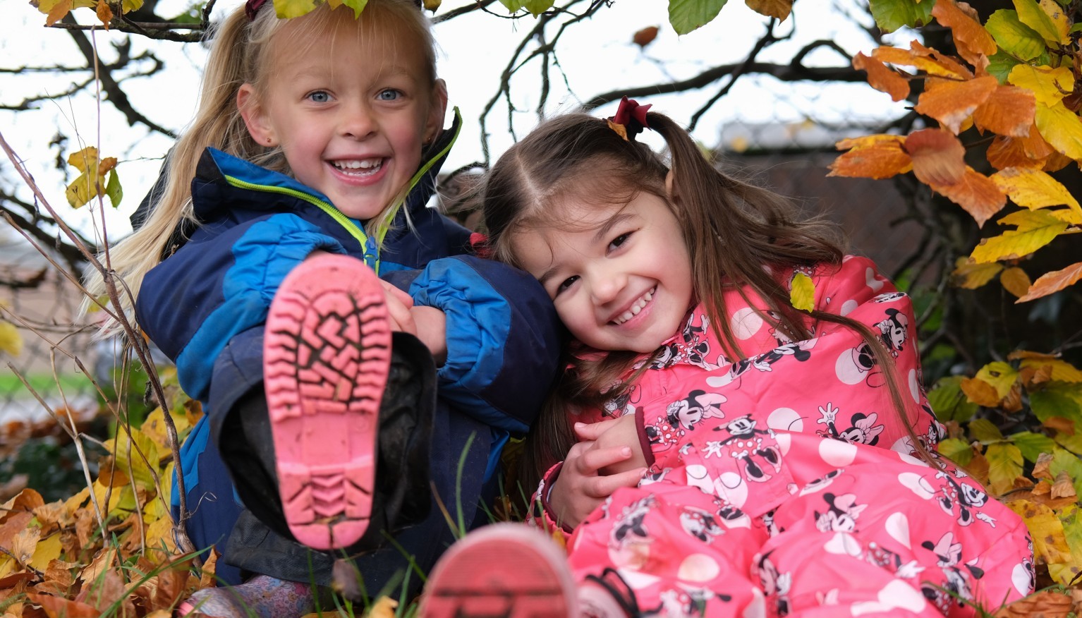 Friendships in Nature