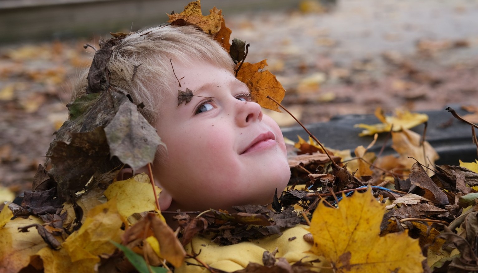 Playing in Nature