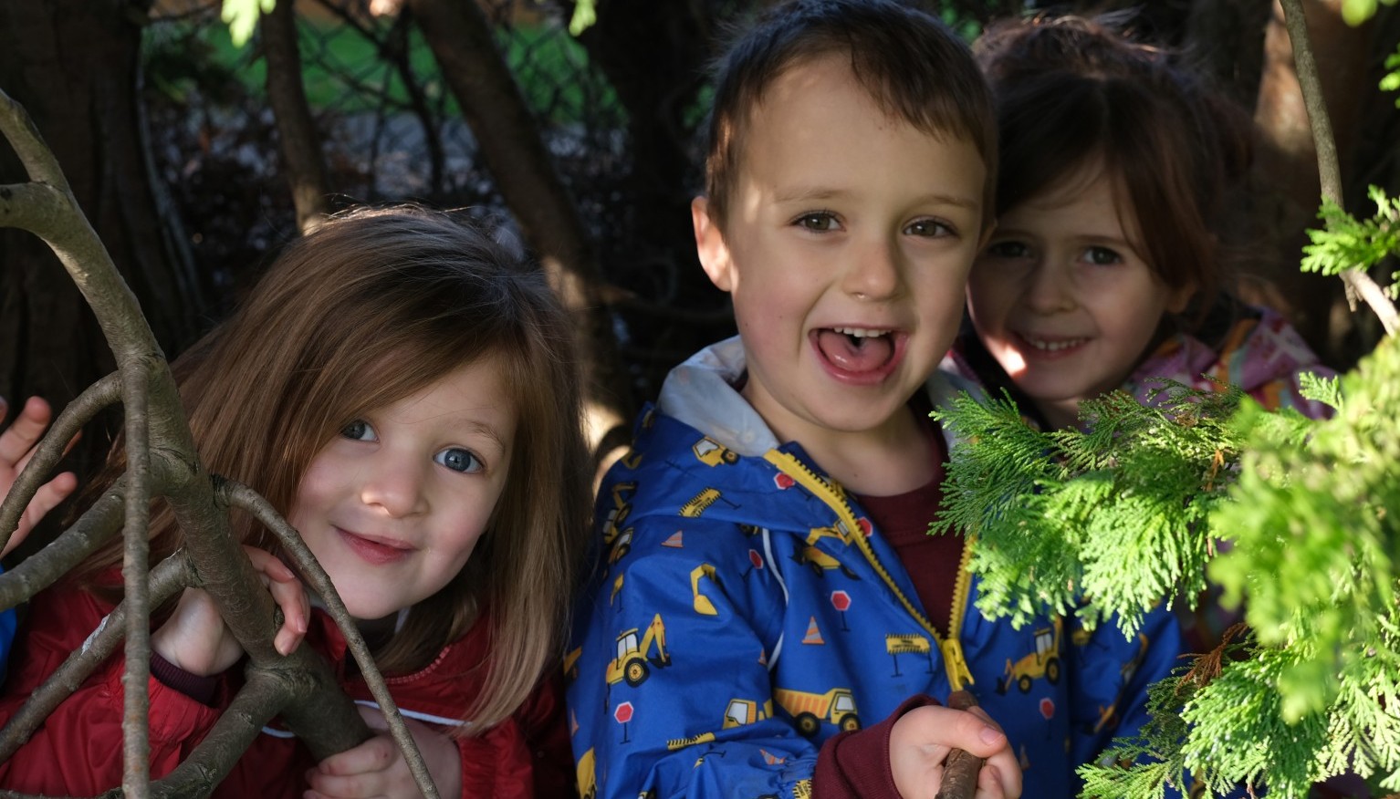 Friendships in Nature