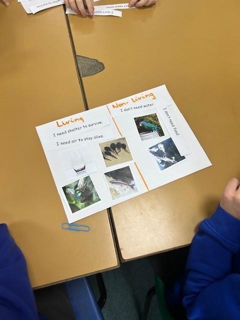 Science in our school