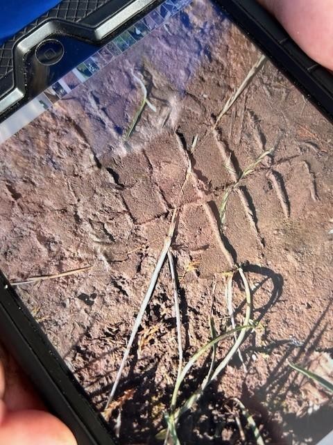 Science in our school