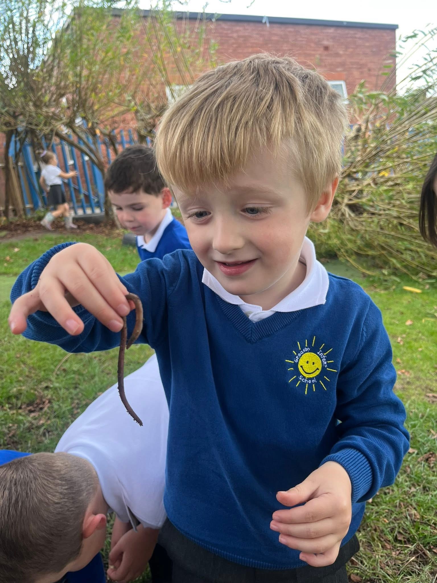 Exploring Worms