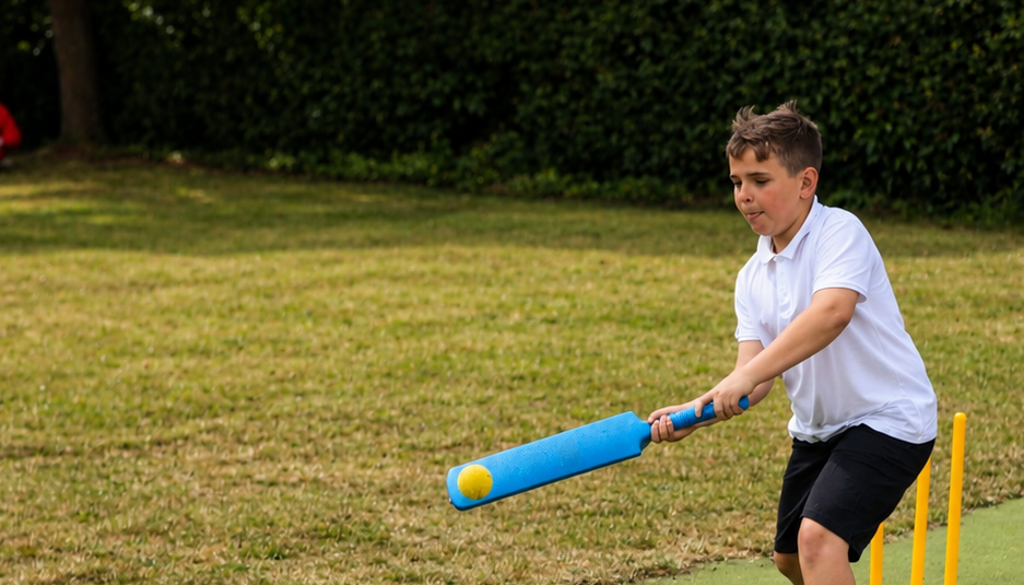 Cricket