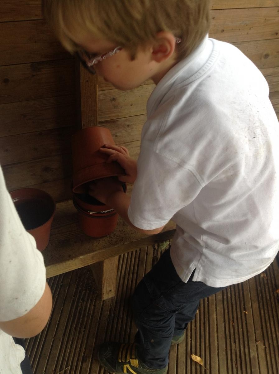 Planting seeds in Year 2