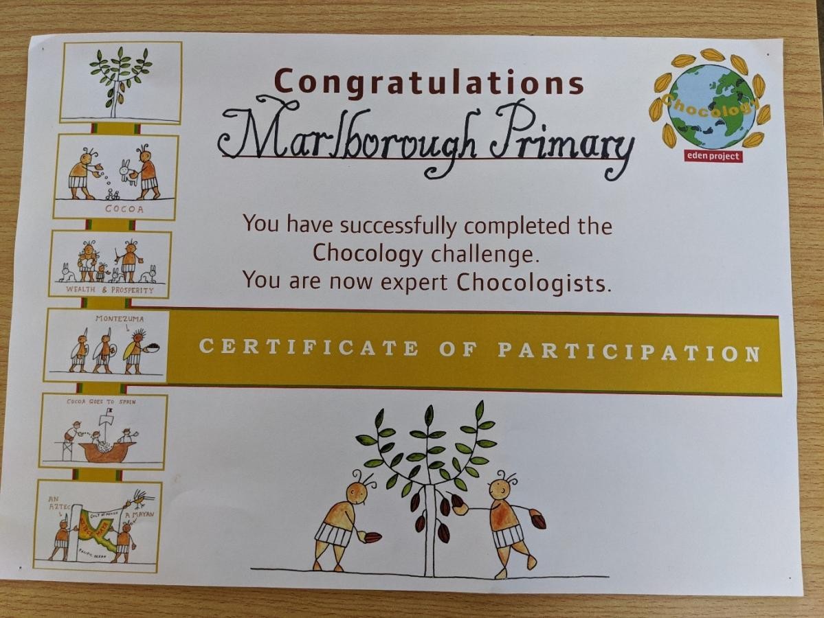 Year 4 visited the Eden Project and learnt about where chocolate comes from and became ‘Chocologists!’