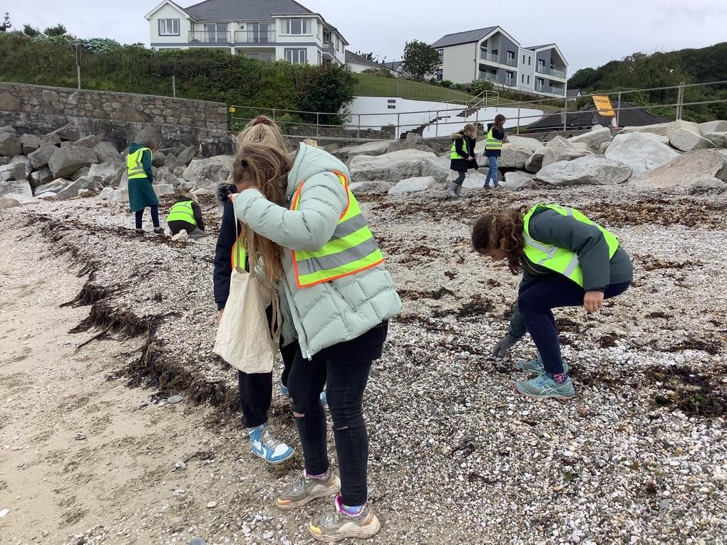 Class 5 beach clean.