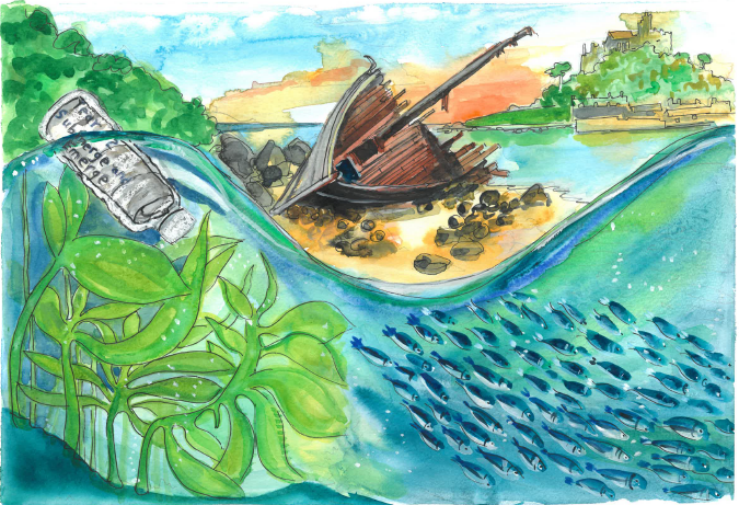 Class 2 Summer Learning