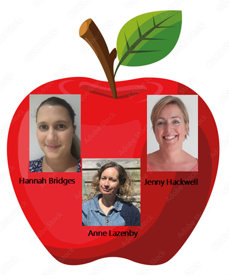 Class 5 Teaching Team