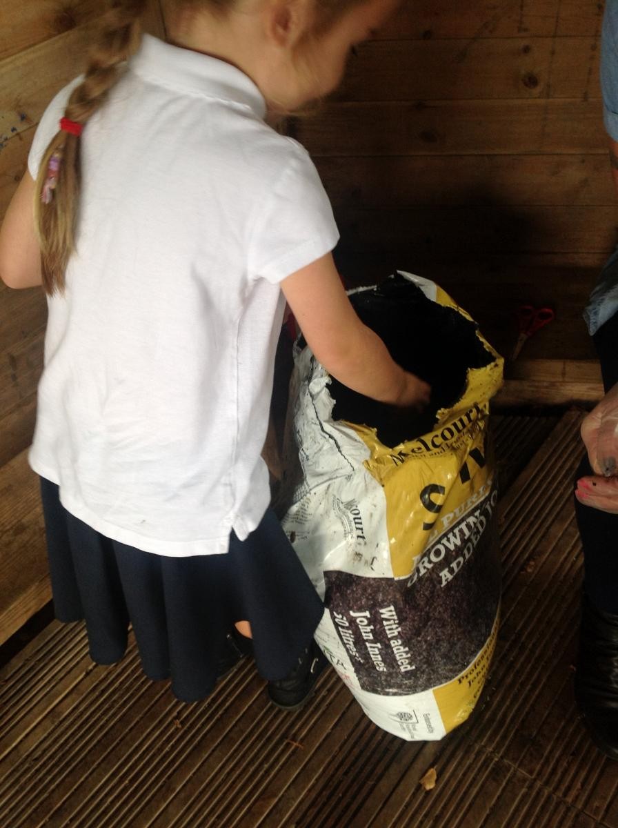 Planting seeds in Year 2