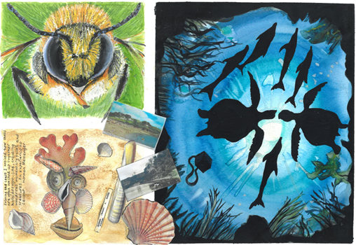 Summer Term Topic - Sea Monsters and Plant Hunters